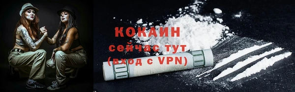 твердый Бронницы