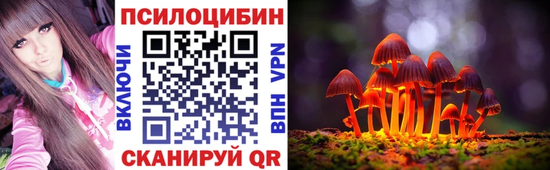 Псилоцибиновые грибы мицелий  Купить закладки  Опочка 